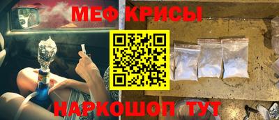 СК Кингисепп