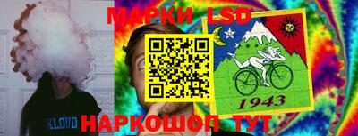 СК Кингисепп