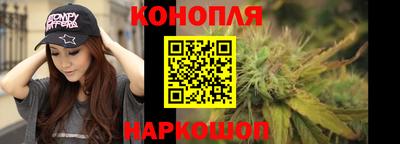 jwh Кинель