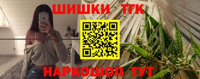 СК Кингисепп