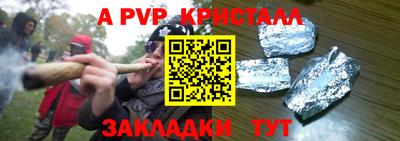 СК Кингисепп