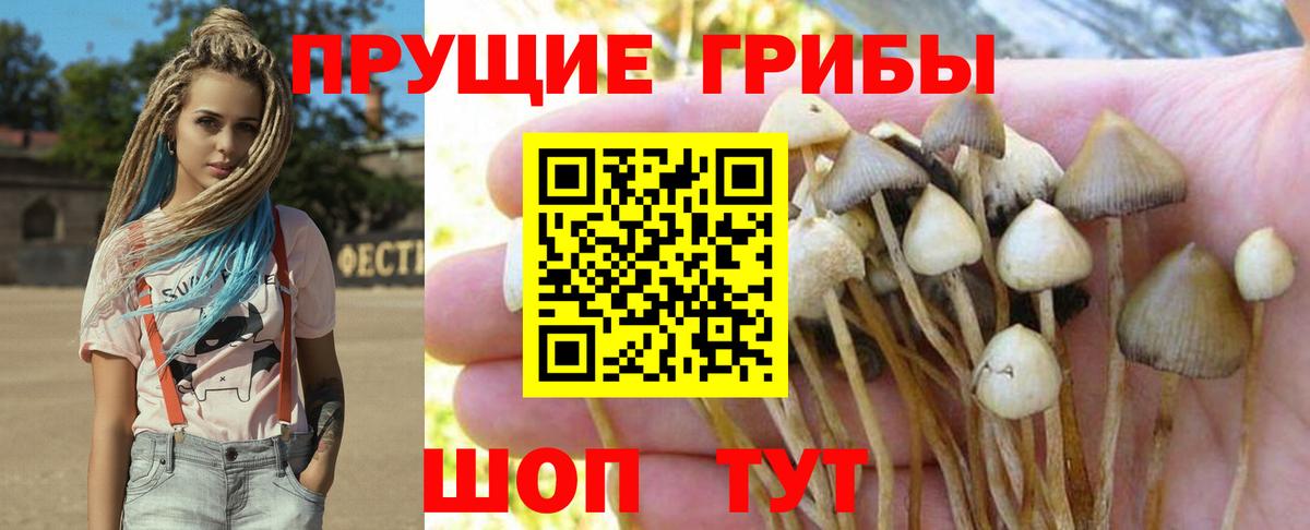 Галлюциногенные грибы мицелий Куйбышев